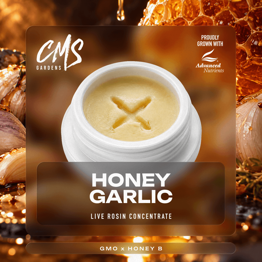 Honey Garlic - 1g Live Rosin