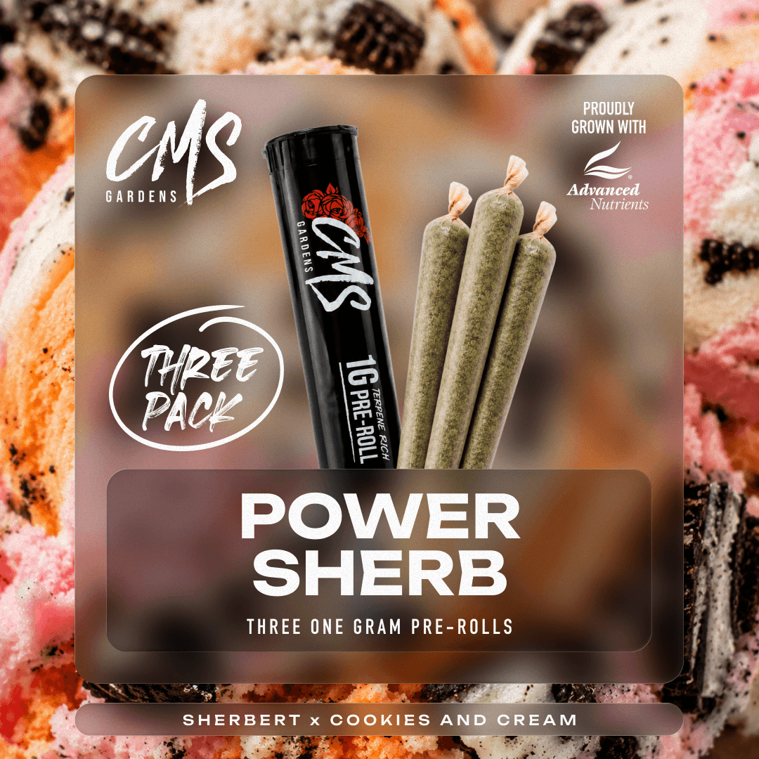 Power Sherb - 3pk 1g Infused Pre-Rolls