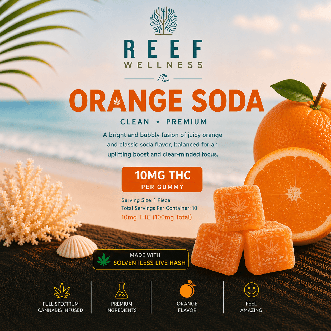 Orange Soda Gummies | 10 Pack