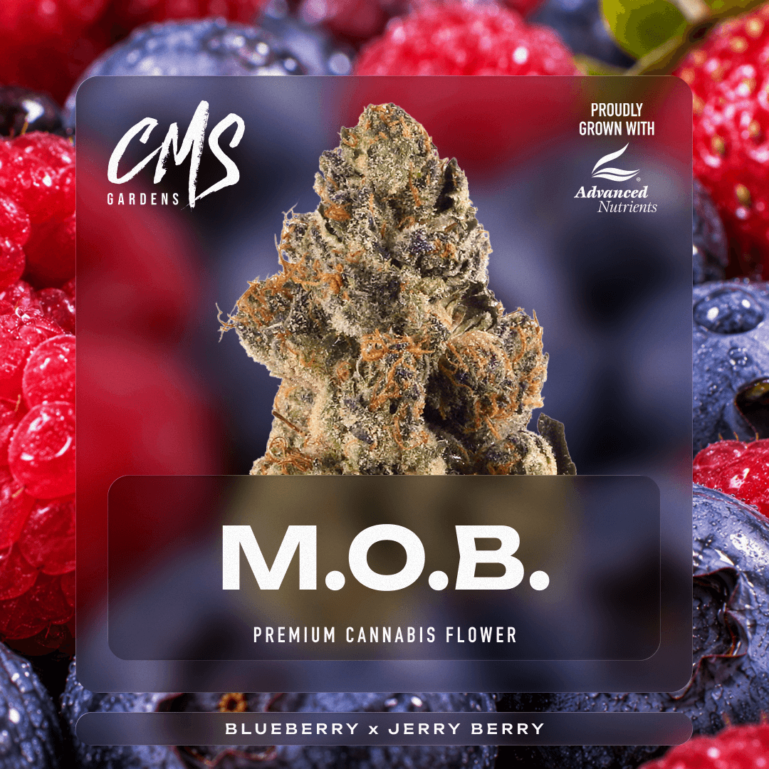M.O.B.