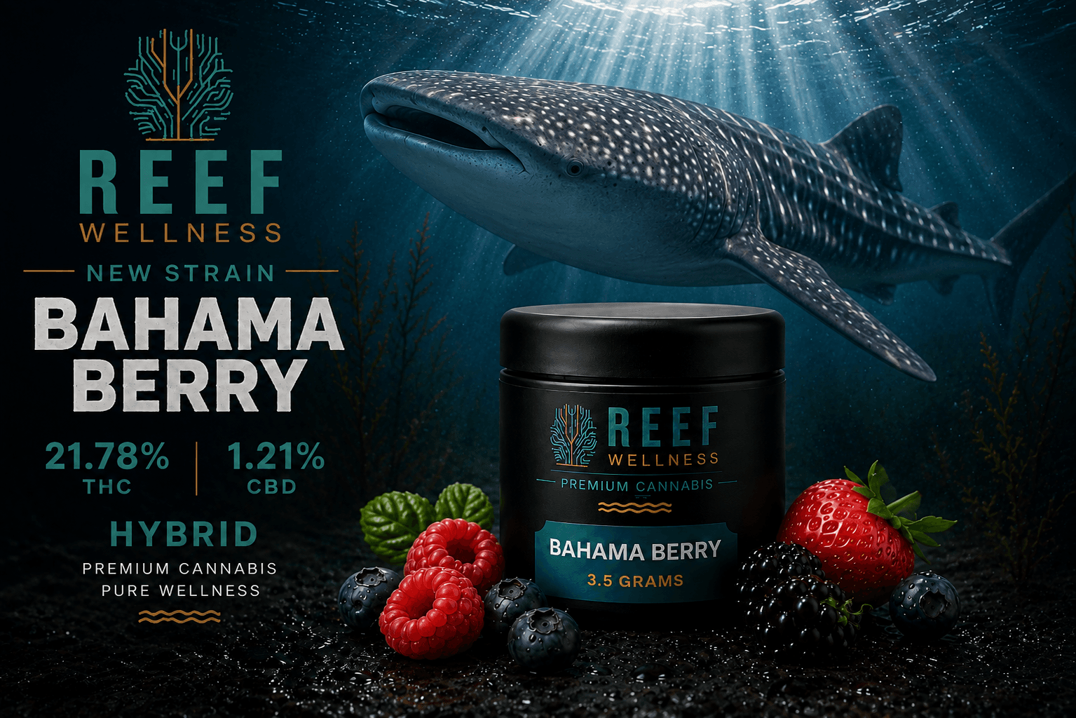 Bahama Berry