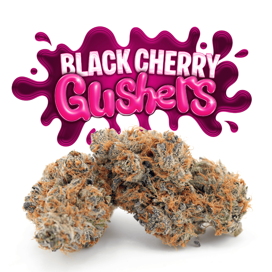 Black Cherry Gushers