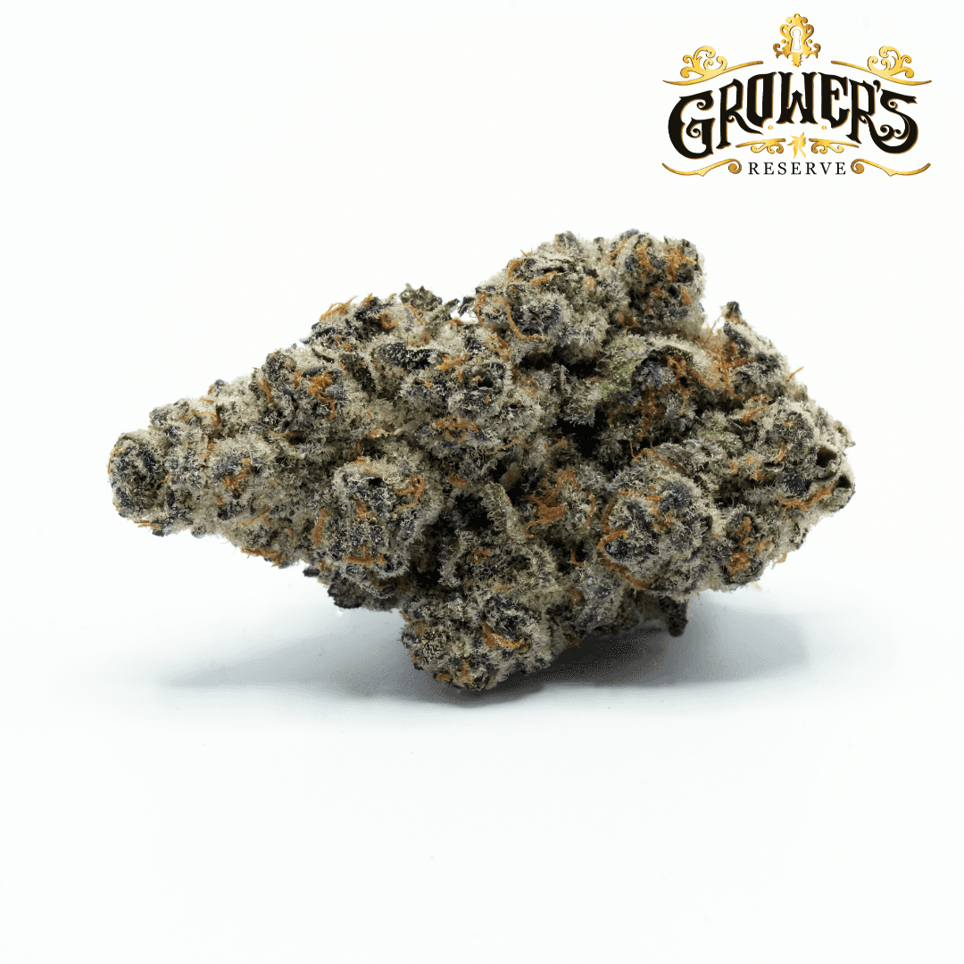 Arctic Gummiez
