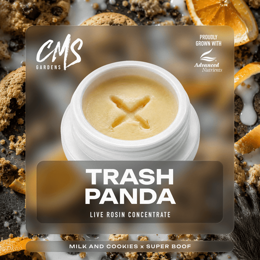 Trash Panda | Live Rosin