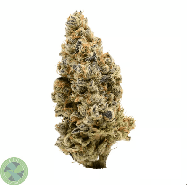 Grape Cream Cake #8