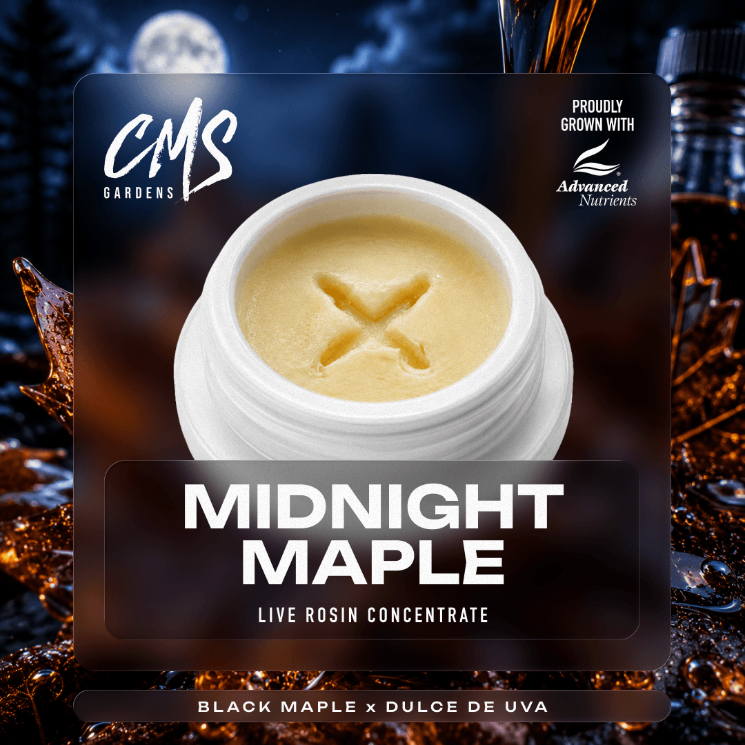 Midnight Maple Live Rosin