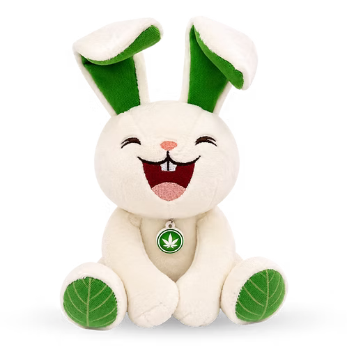Meg the Baked Bunny Dog Toy