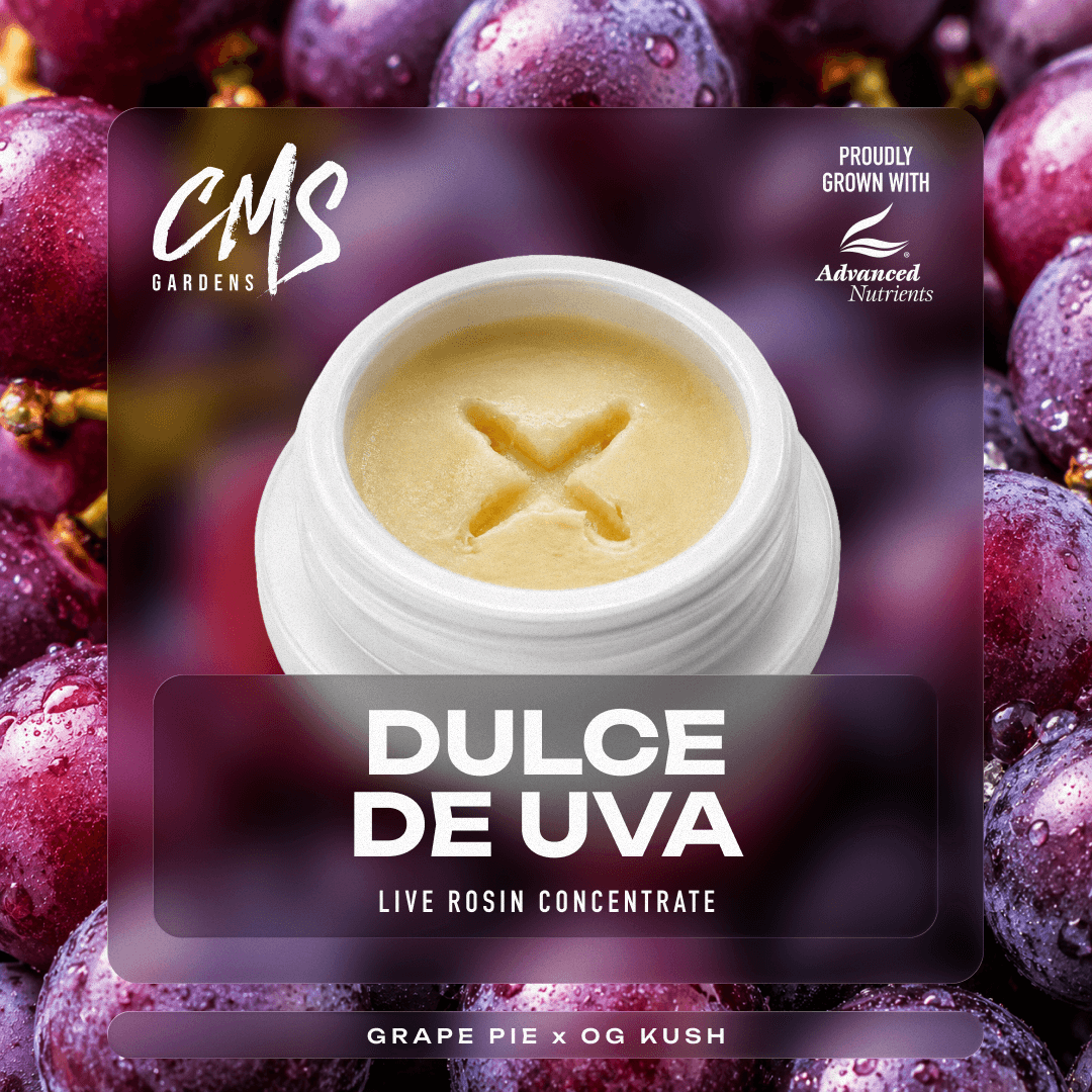Dulce De Uva - 2g Live Rosin