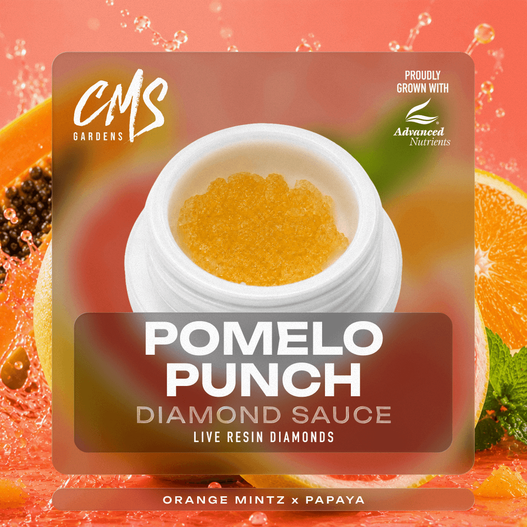 Pomelo Punch - 1g Diamond Sauce
