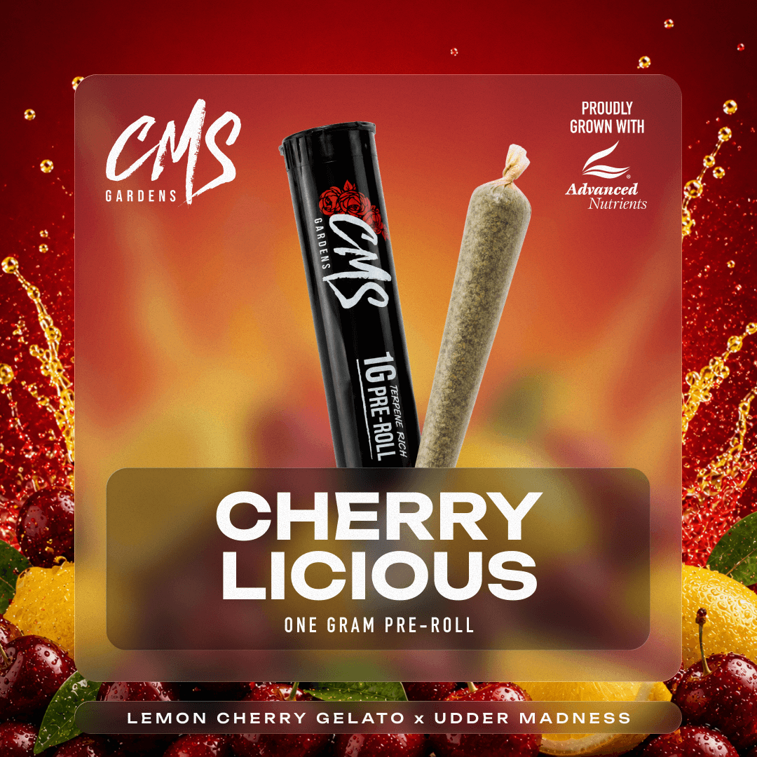 Cherrylicious - 1g Pre-Roll