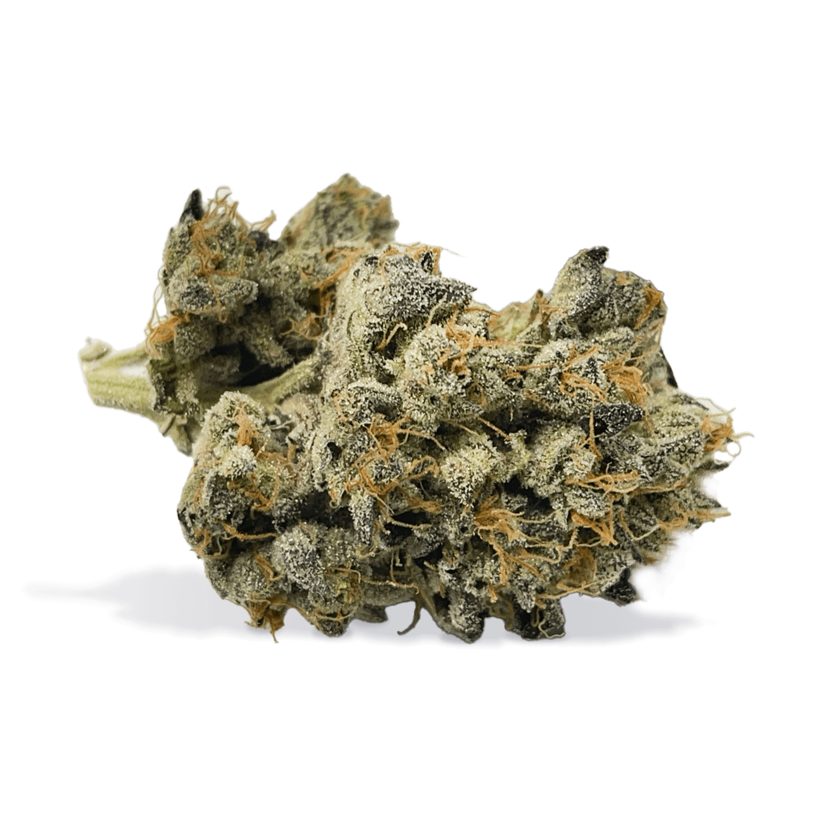 Animal Gas