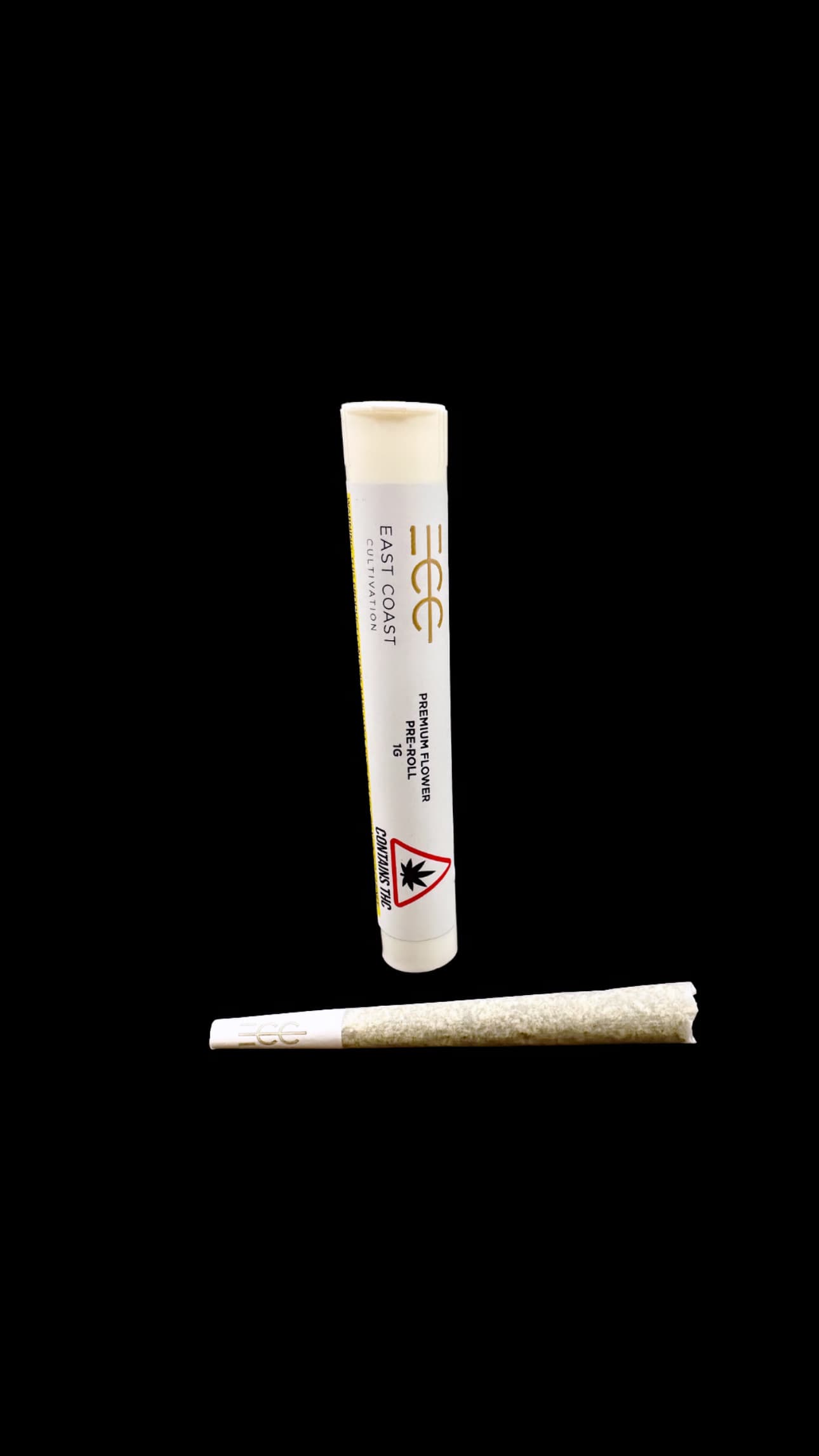 E85