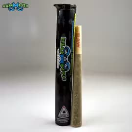 Hawaiian Biscotti - 1g Pre-Roll