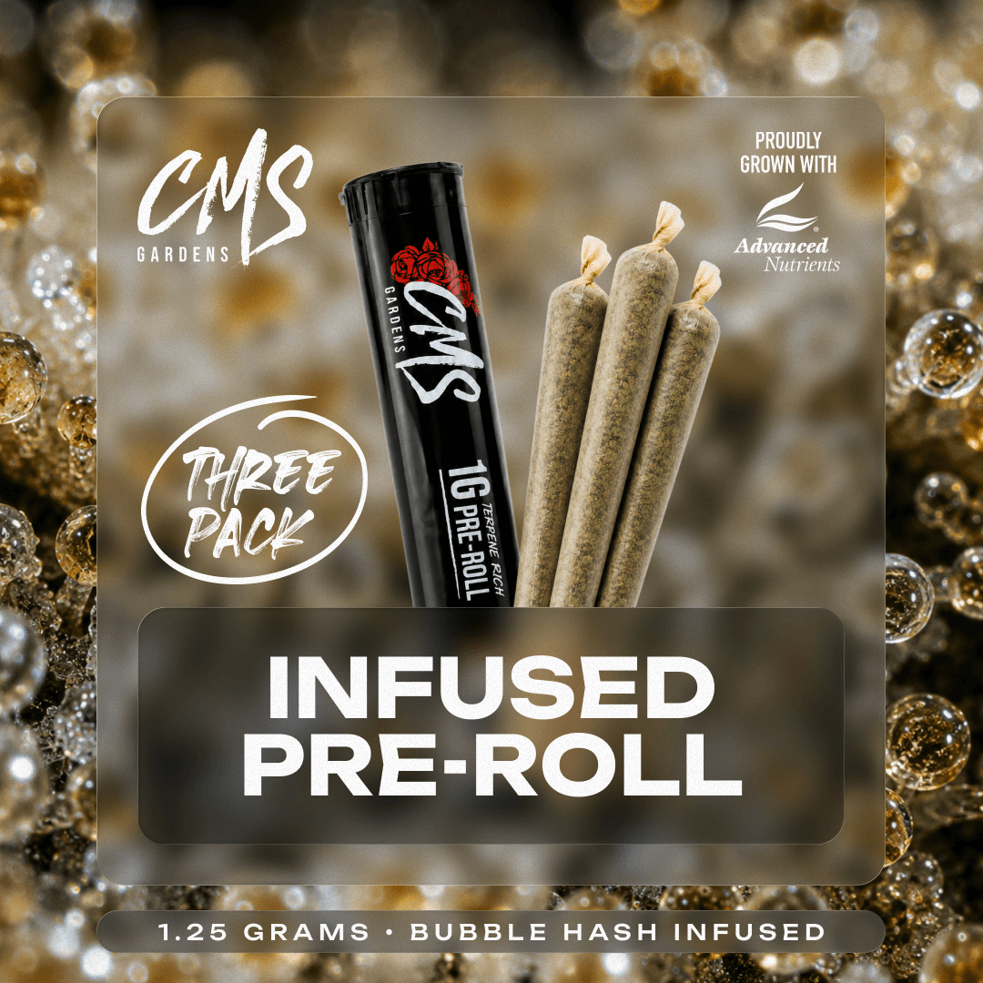 Blue Gas Can - 3pk 1.25g Infused Pre-Rolls