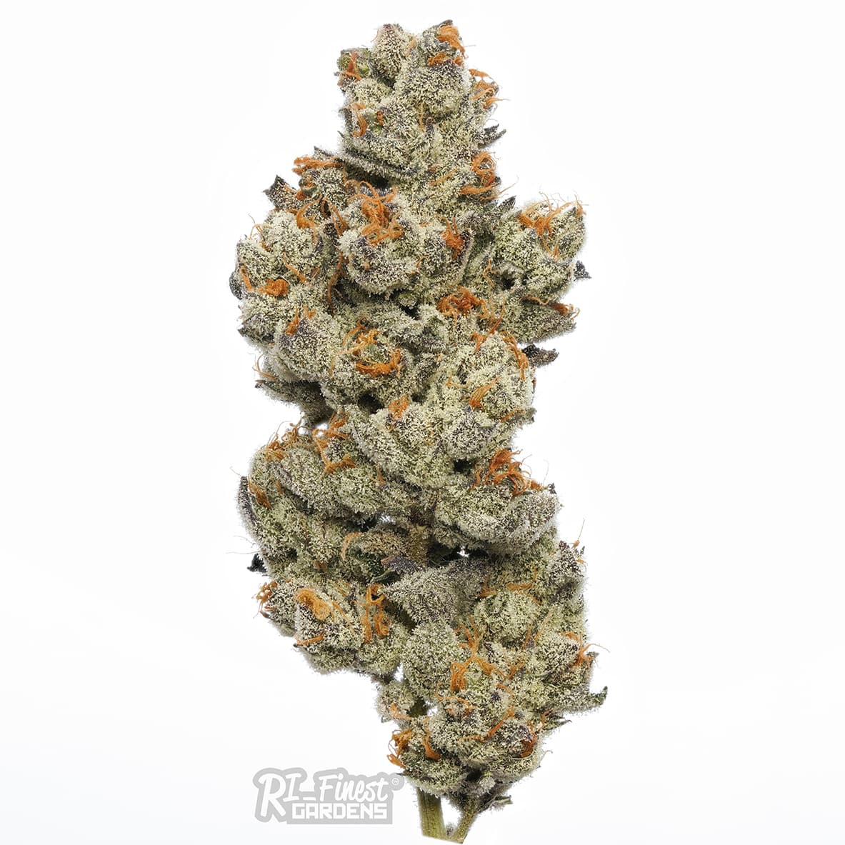 P.B. Gelato