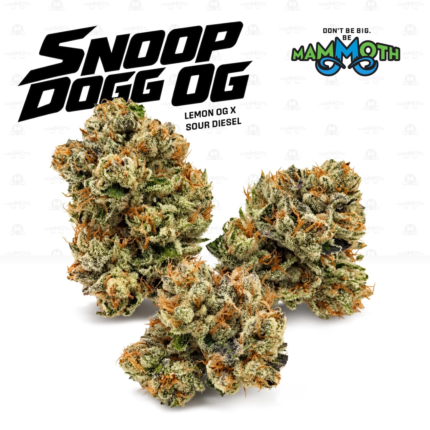 Snoop Dogg OG
