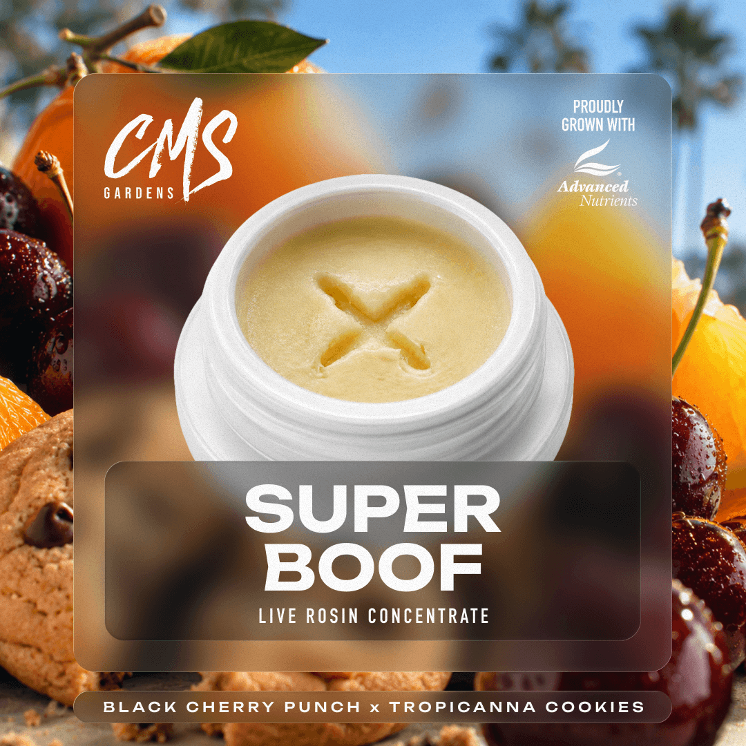 Superboof Live Rosin