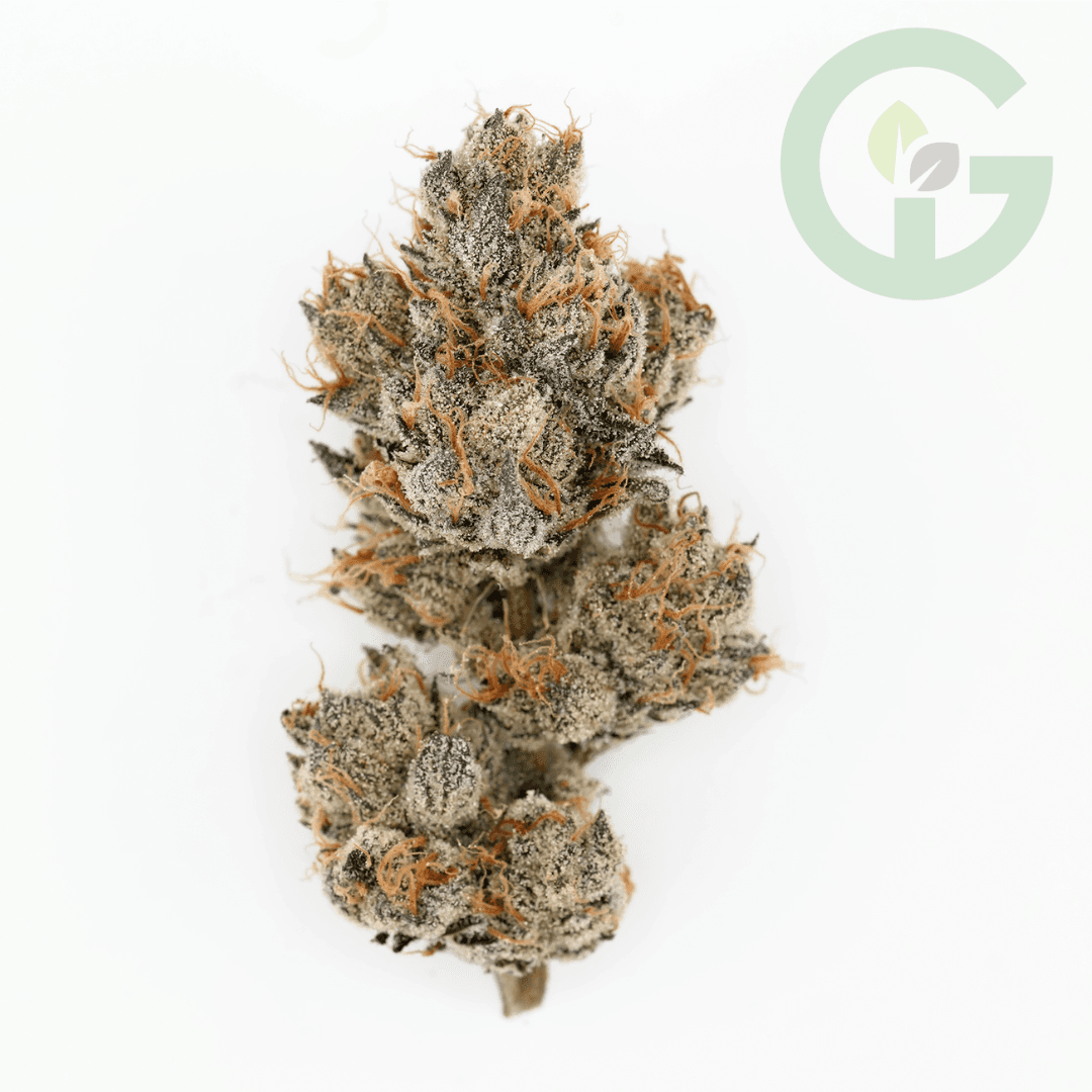 Super Lemon Cherry Gelato -