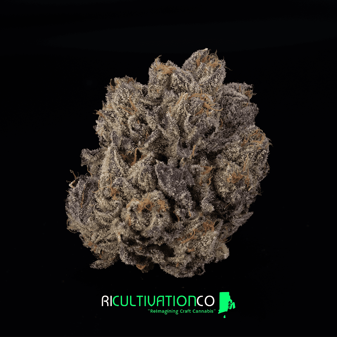 Chem 91 -