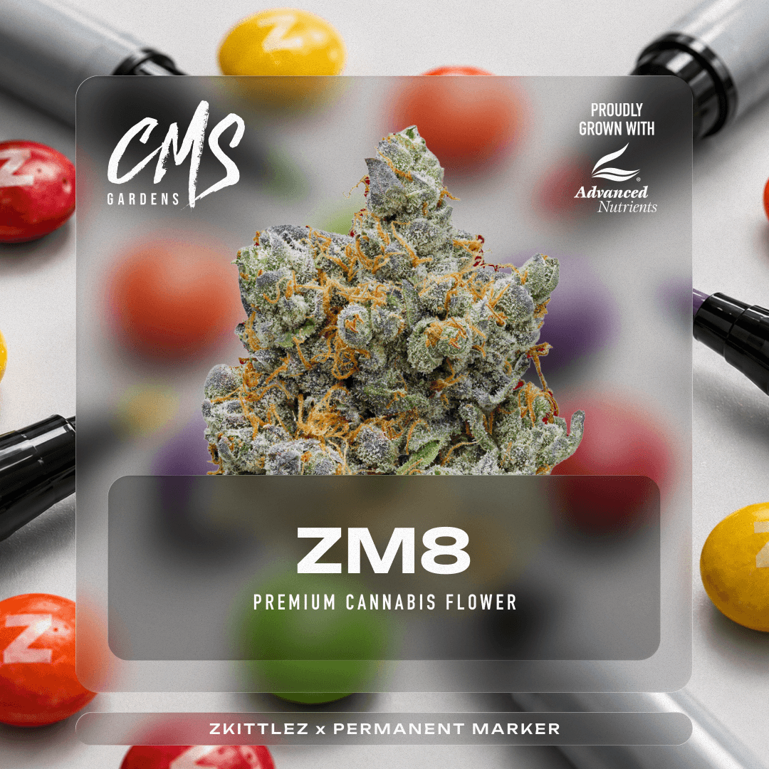 ZM8