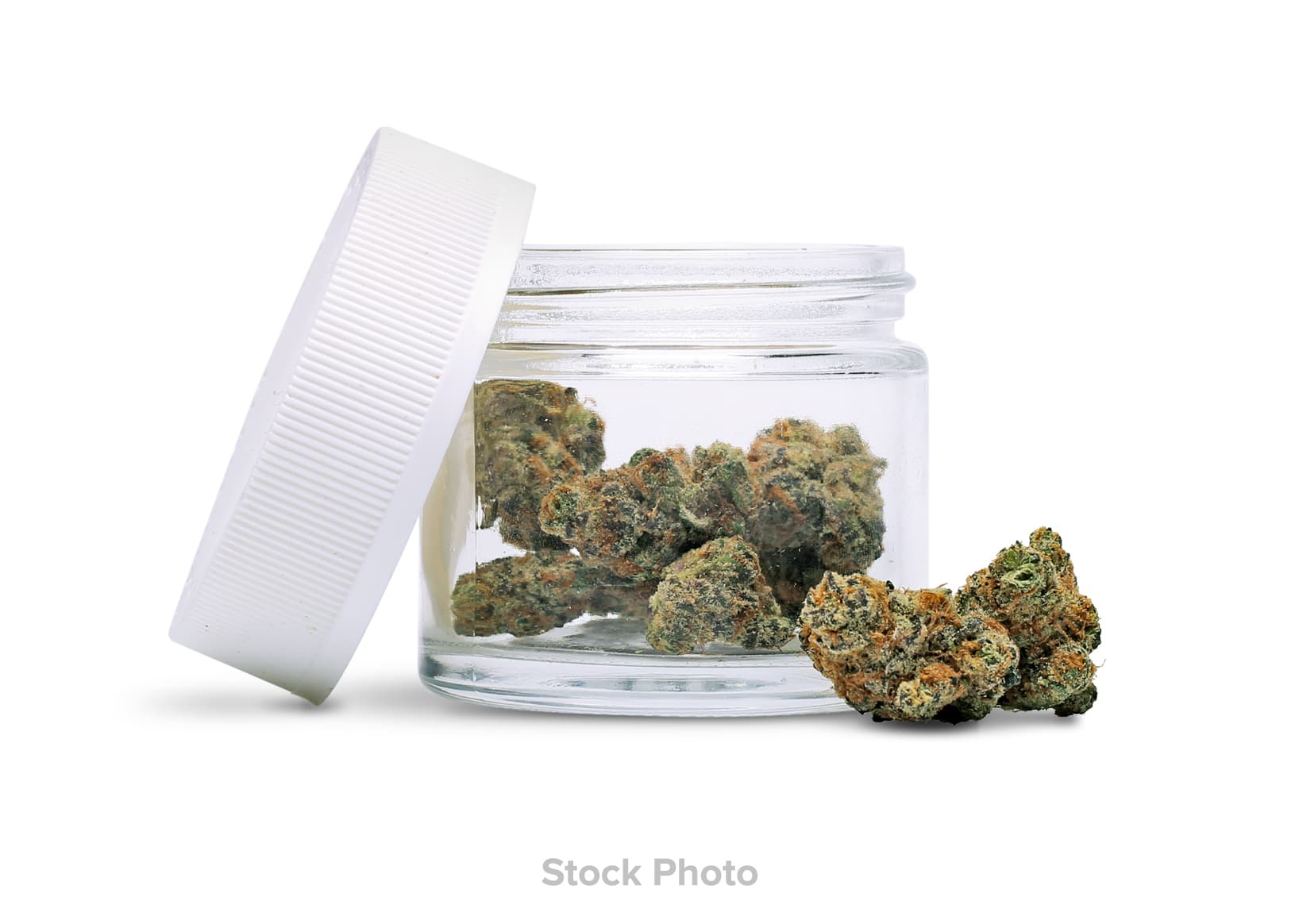 (Promo) Jardin's Garden - Flower - Animal Cookies