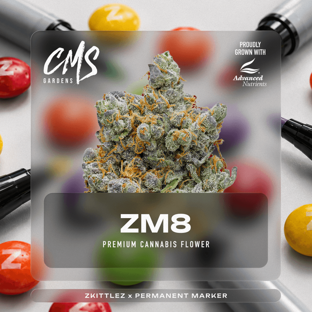 ZM8