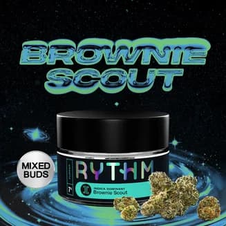Brownie Scout