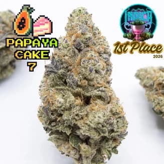 Papaya Cake #7