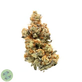 Peanut Butter Breath #17