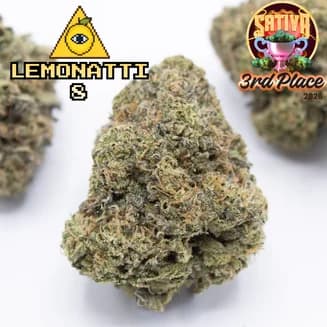 Lemonotti #8