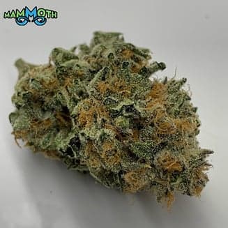 Chem De La Wilson -