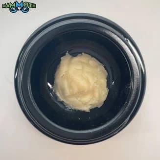 Chem De La Wilson x Don Mega