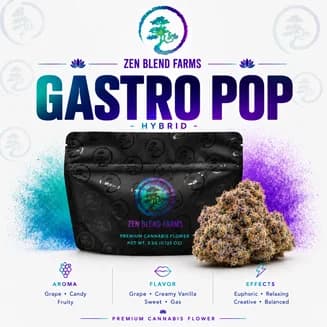 Gastro Pop