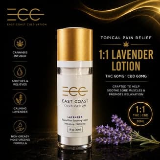 1:1 Relief Cream - Lavender (120mg CBD/120mg THC)