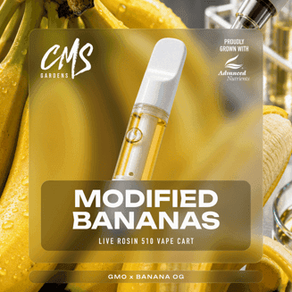 Modified Bananas
