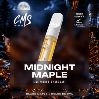 Midnight Maple
