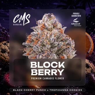 Blockberry