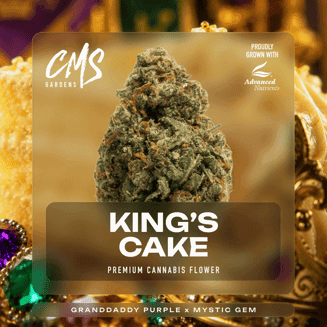 King's Cake