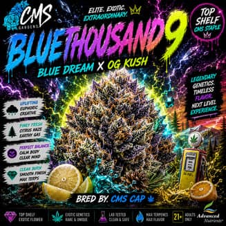 Blue Thousand 9