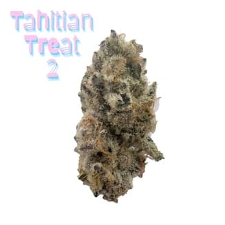 Tahitian Treat #2