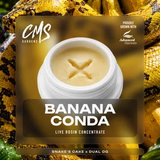 Bananaconda