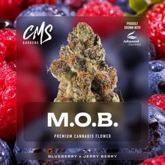 M.O.B.