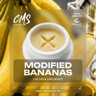 Modified Bananas