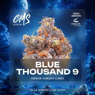 Blue Thousand 9