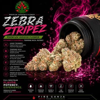 Zebra Ztripez