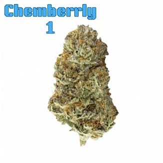 Chemberrly #1