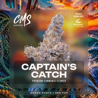 Captain's Catch