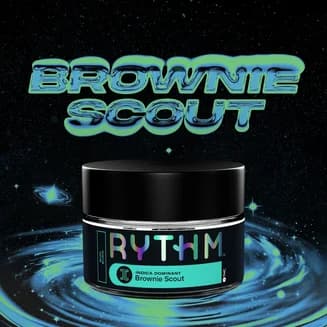 Brownie Scout