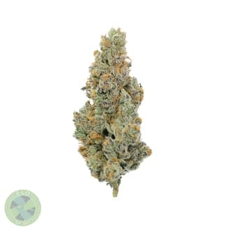Frost Donkey #6