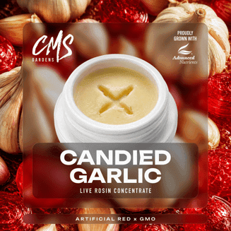 Candied Garlic